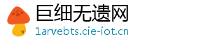 巨细无遗网